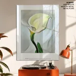 Calla lily