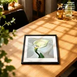 Calla lily