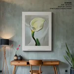 Calla lily