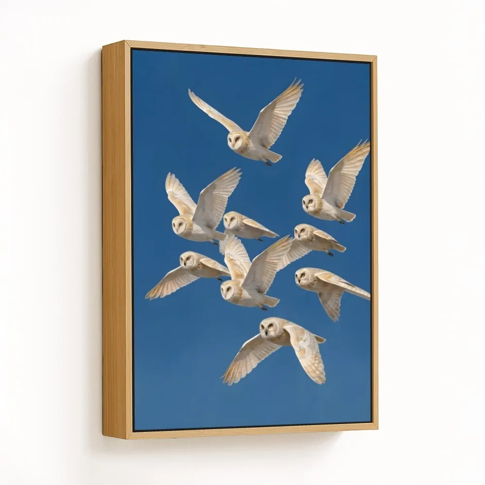 Graceful Flying Owls – Vastu Energy Wall Art, West, For Wisdom and Prosperity