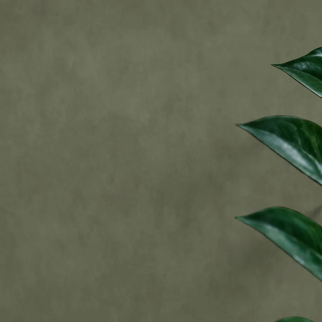 Abstract Greenish Gray Texture