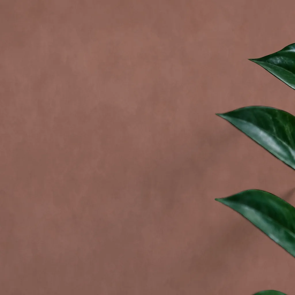Abstract Terracotta Texture