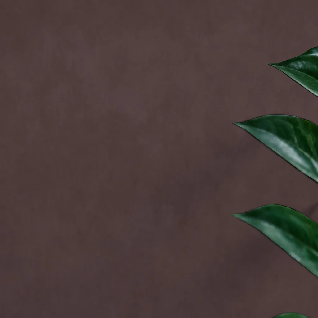Abstract Dark Brown Texture