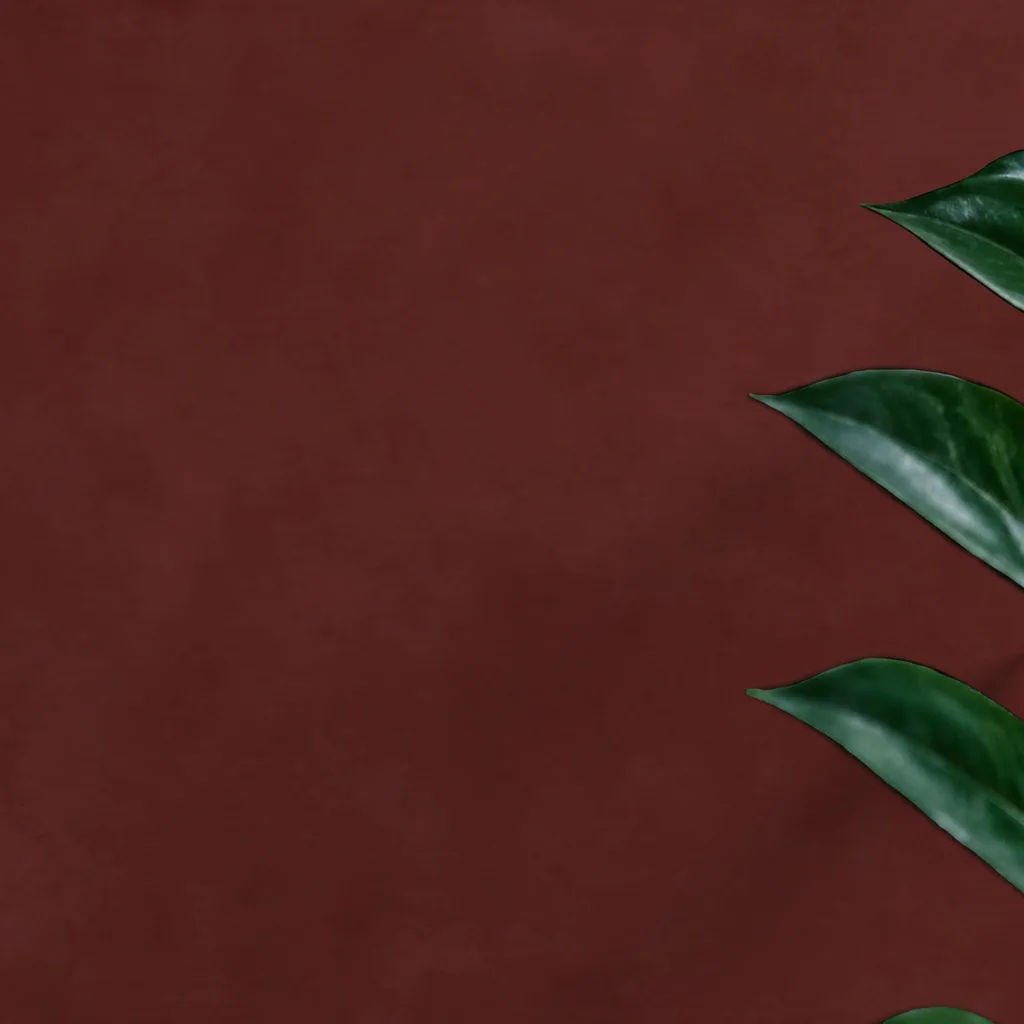 Abstract Dark Red Texture