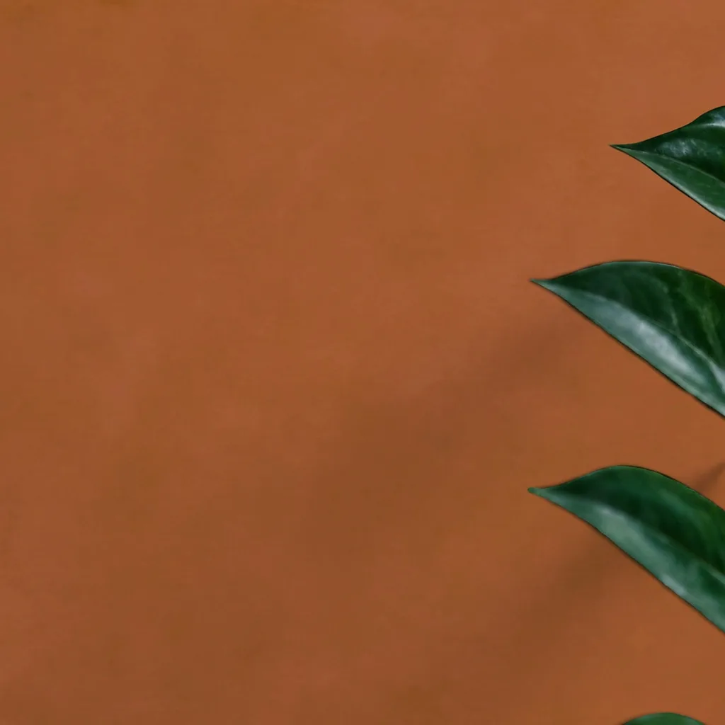 Abstract Orange Brown Texture Solid