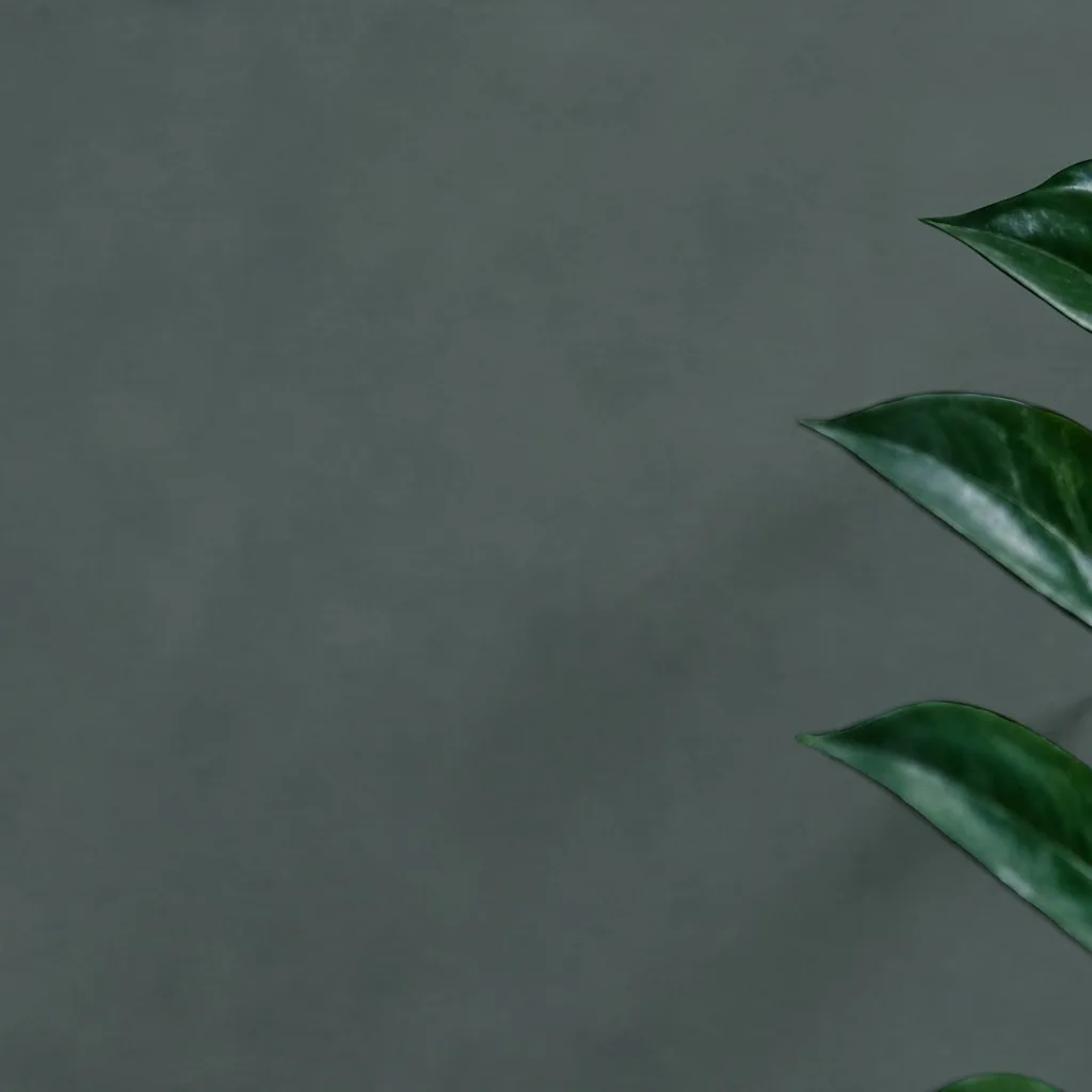 Abstract Textured Grey Green