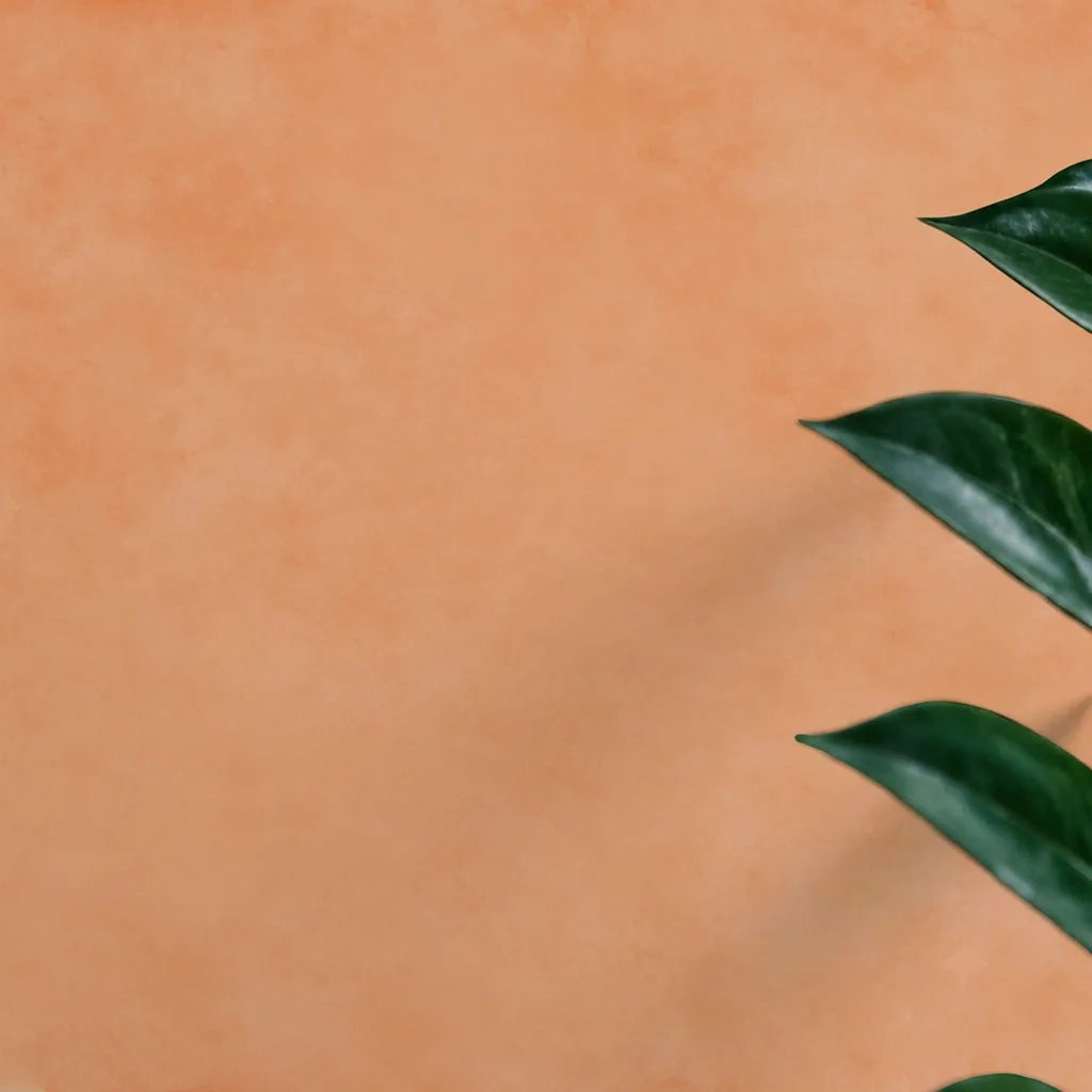 Abstract Peach Texture