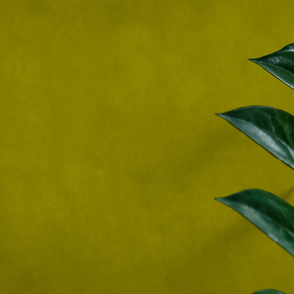 Abstract Olive Green Texture 3