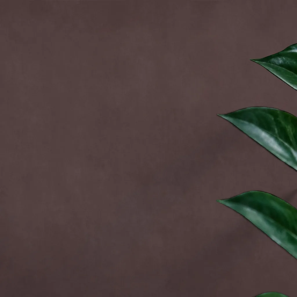 Minimalist Dark Brown Texture
