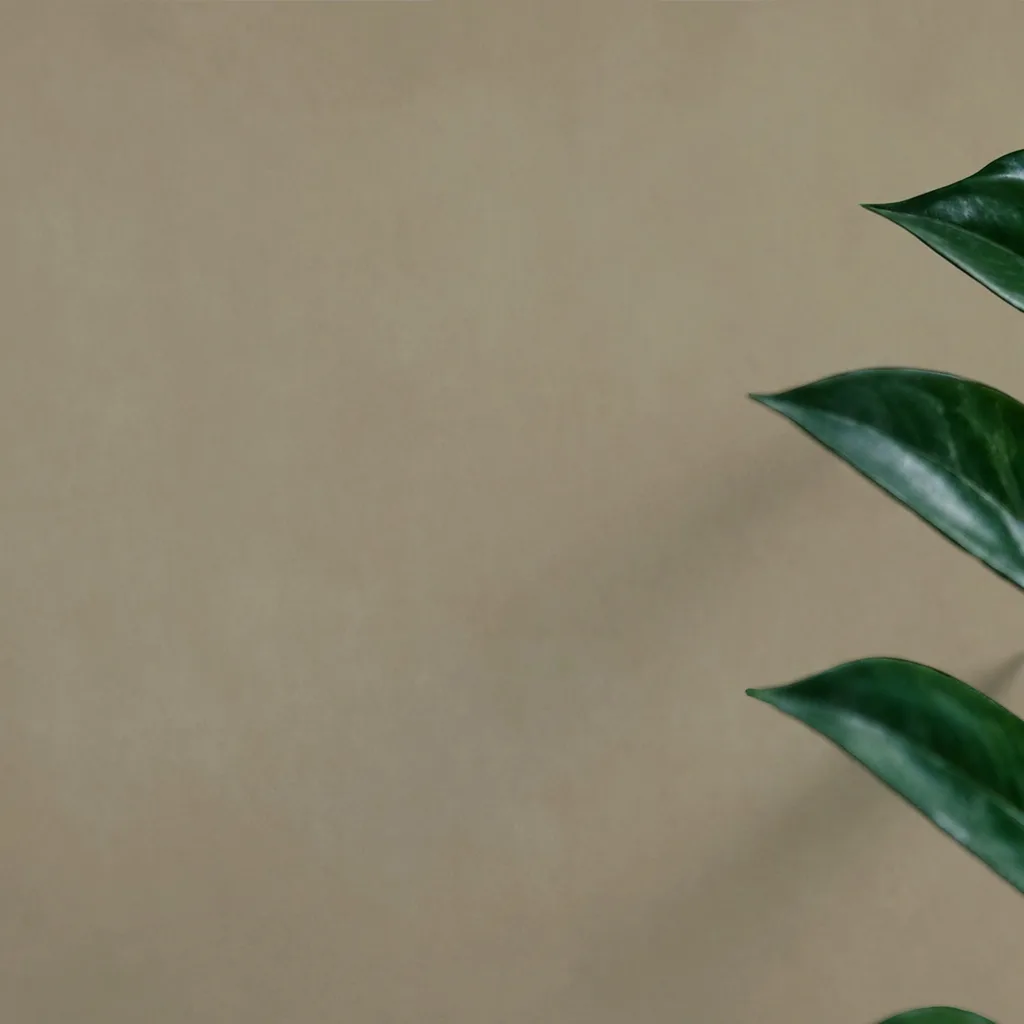 Minimalist Beige Texture