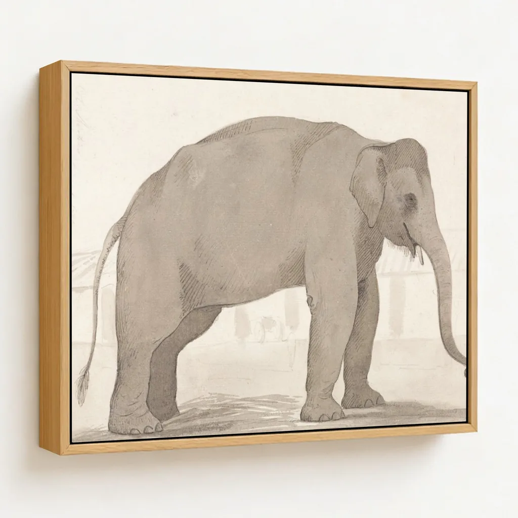 An Indian Elephant at Lucknow, September 1, 1789 by William Daniell (1789) – Wall Painting